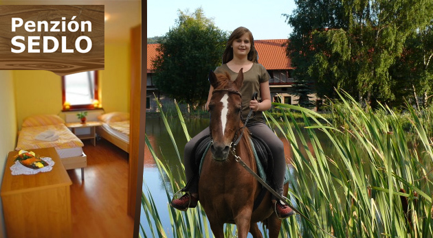 Božský pokoj v Penzióne Sedlo