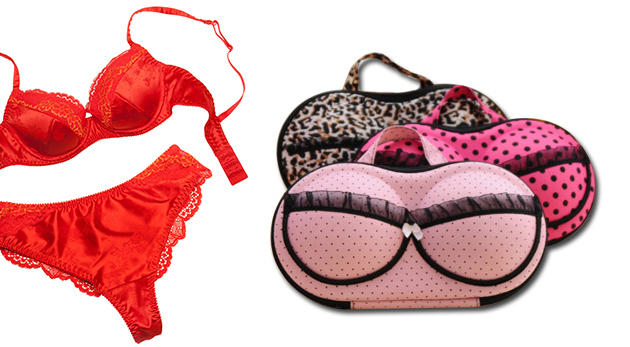 Ochranné puzdro na podprsenky a nohavičky