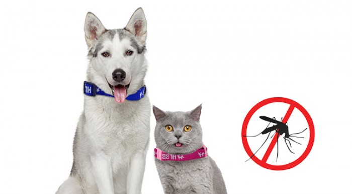 Obojok pre psy a mačky proti parazitom