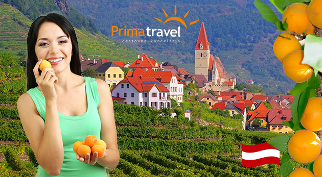 Marhuľové slávnosti a údolie Wachau - zájazd