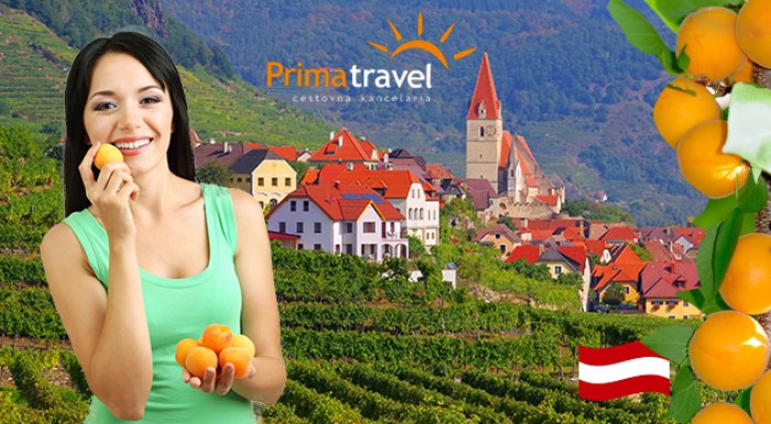 Marhuľové slávnosti a údolie Wachau - zájazd