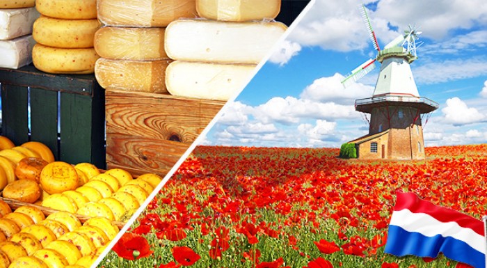 Zájazd do Holandska na 4 dni