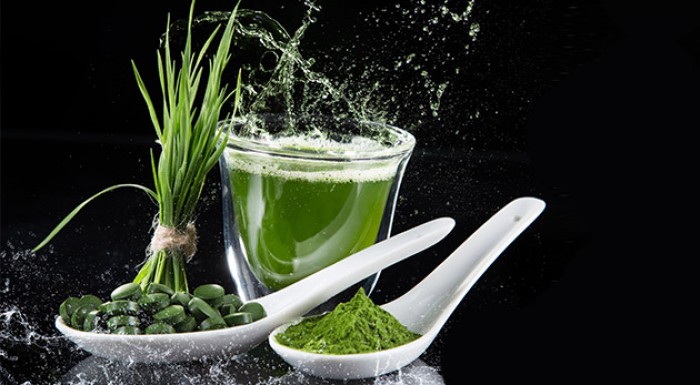Čistá morská riasa Spirulína - 500 toboliek