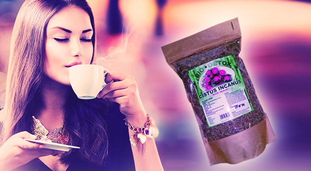 Čaj zo skalnej ruže na ochranu a podporu imunity