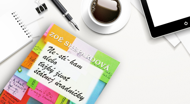 Nestíham alebo ťažký život štátnej úradníčky