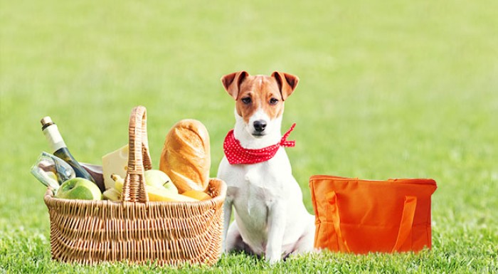 Termotaška Smartcook Cool Bag