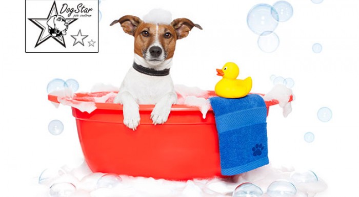 Strihanie a wellness pre psy v salóne Dogstar