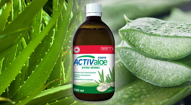 Aloe Vera šťava (gél) - zázračná rastlina pre každého.