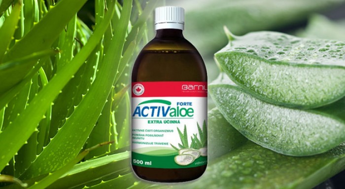 Aloe Vera šťava (gél) - zázračná rastlina pre každého.