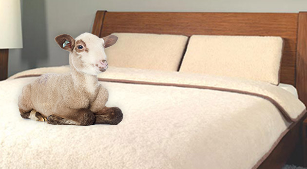 Posteľná súprava z ovčej vlny