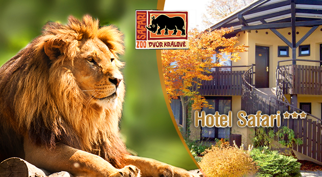 Netradičná noc v ZOO Dvůr Králové pre dvoch