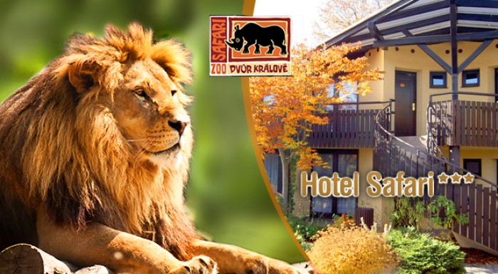 Netradičná noc v ZOO Dvůr Králové pre dvoch