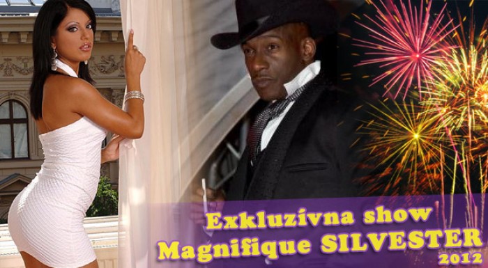 Veľkolepé Silvestrovské erotické vystúpenie na luxusnej lodi priamo na Dunaji.