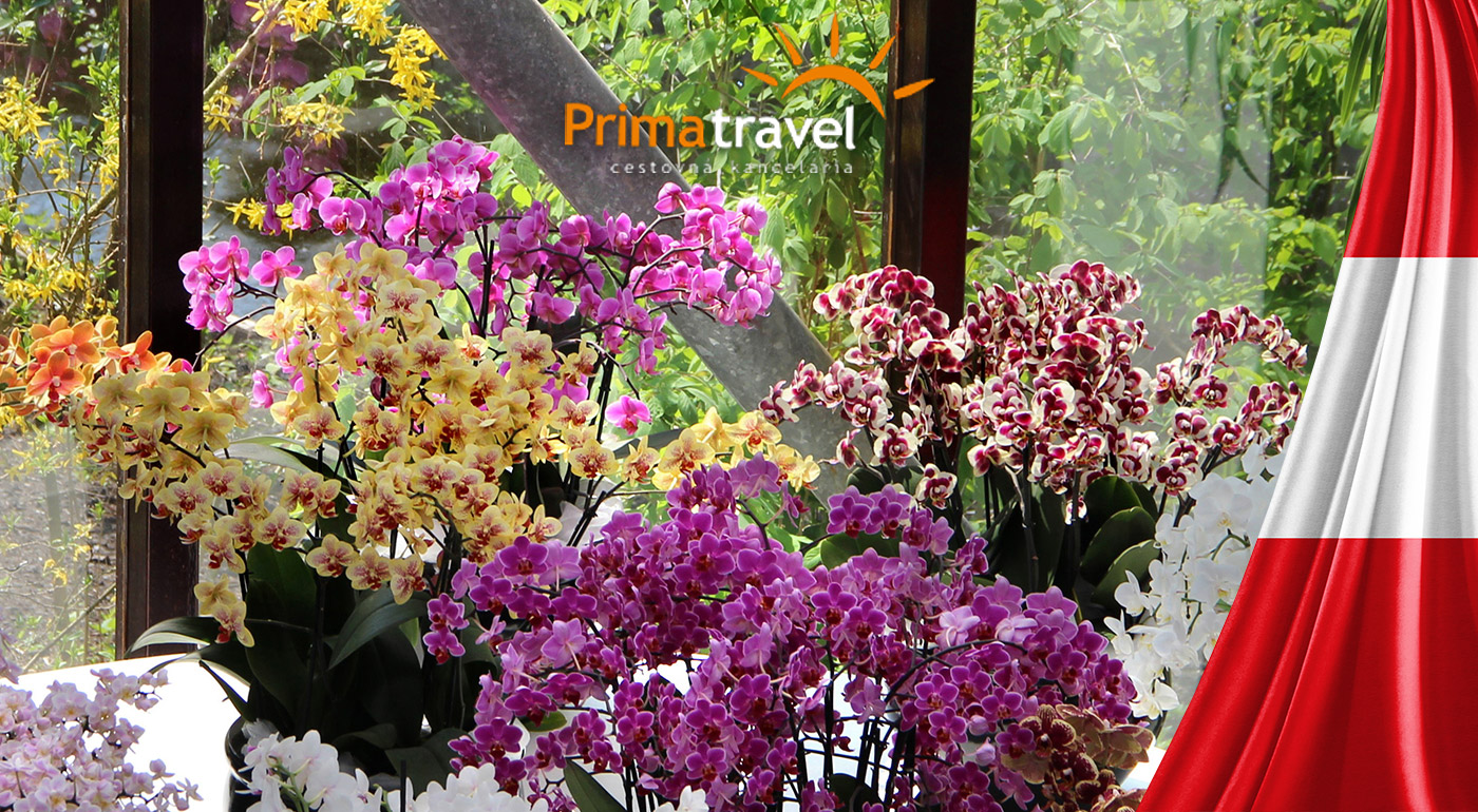 Výstava orchideí a kláštor v Klosterneuburgu