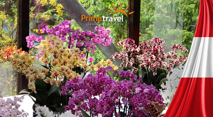 Výstava orchideí a kláštor v Klosterneuburgu