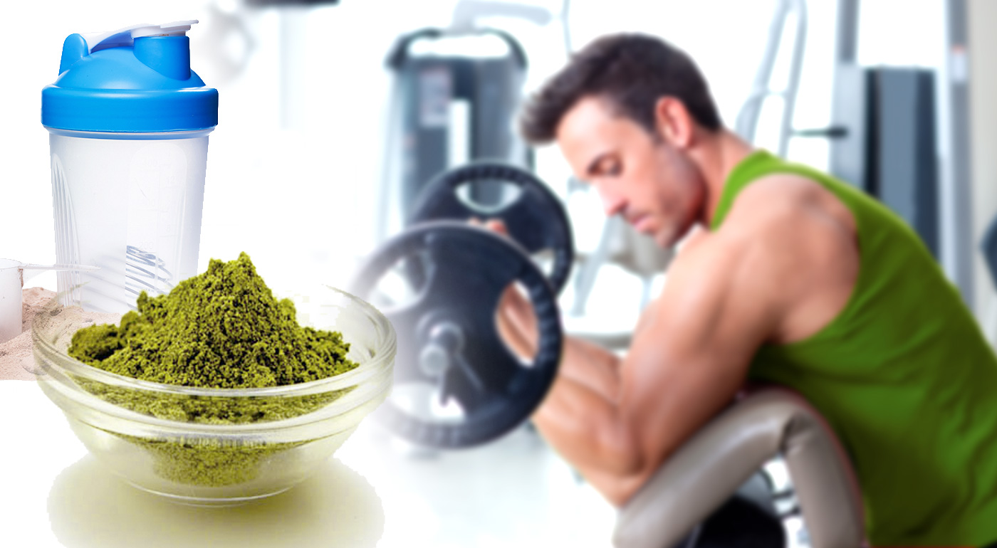 100% čistý konopný proteín