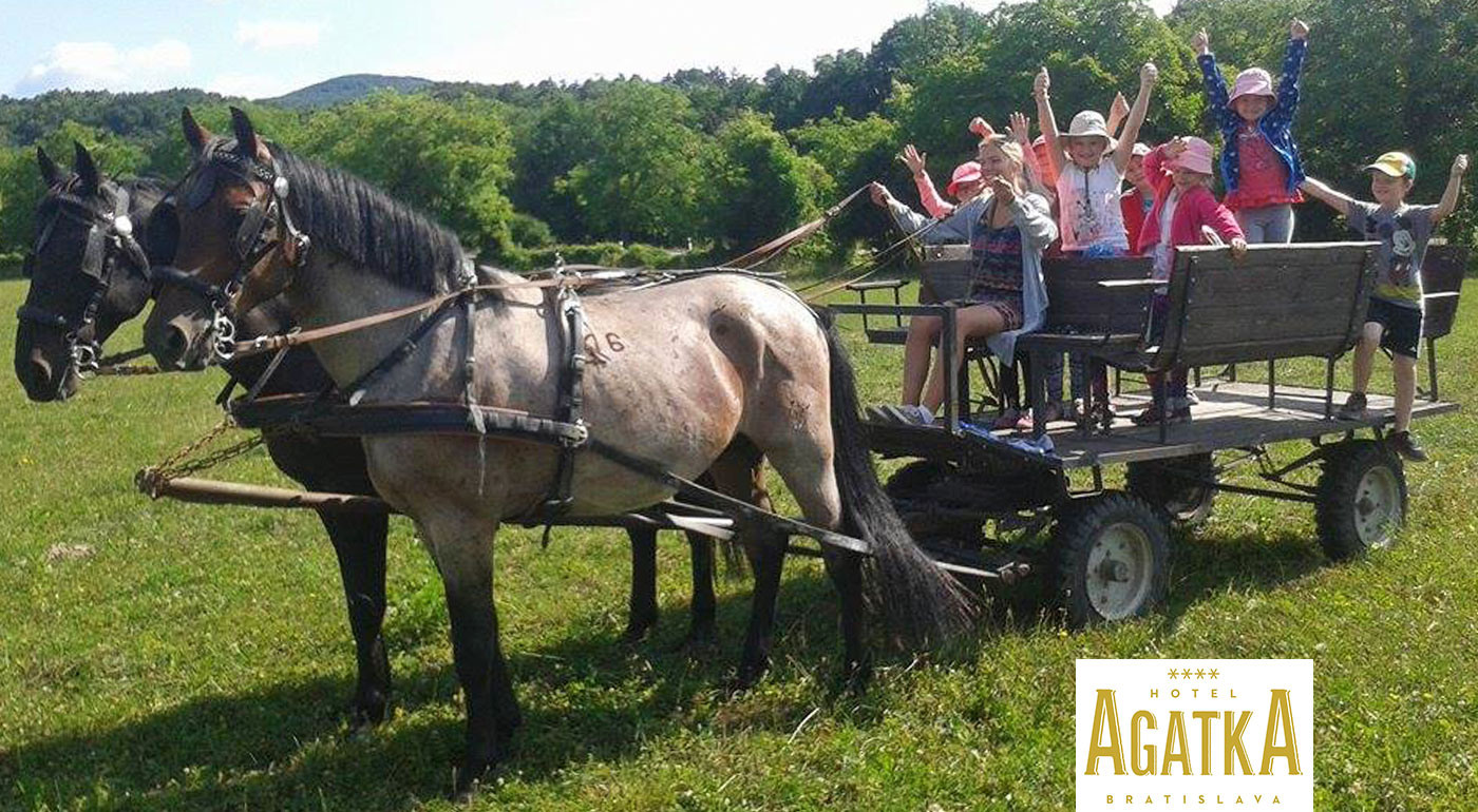 Jazda kočom do Šúrskeho pralesa