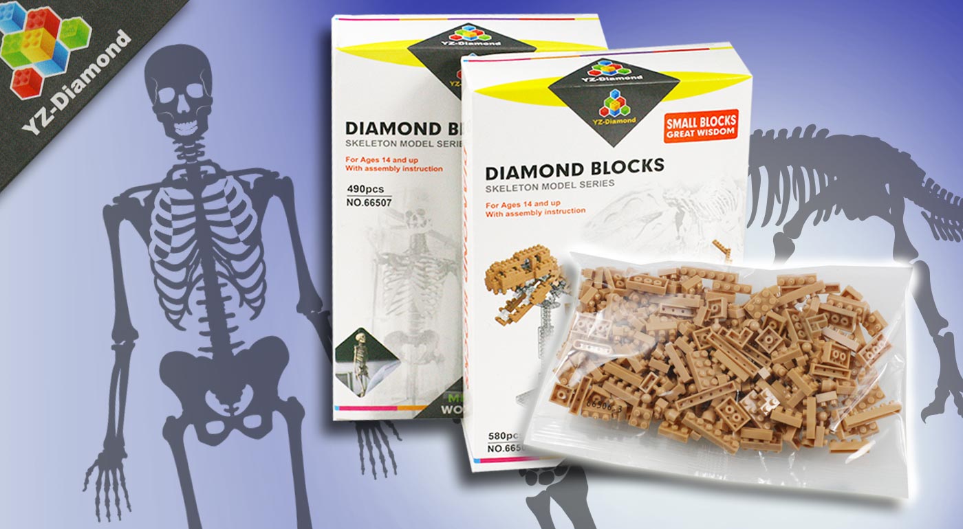 3D stavebnica ľudská kostra alebo kostra dinosaura