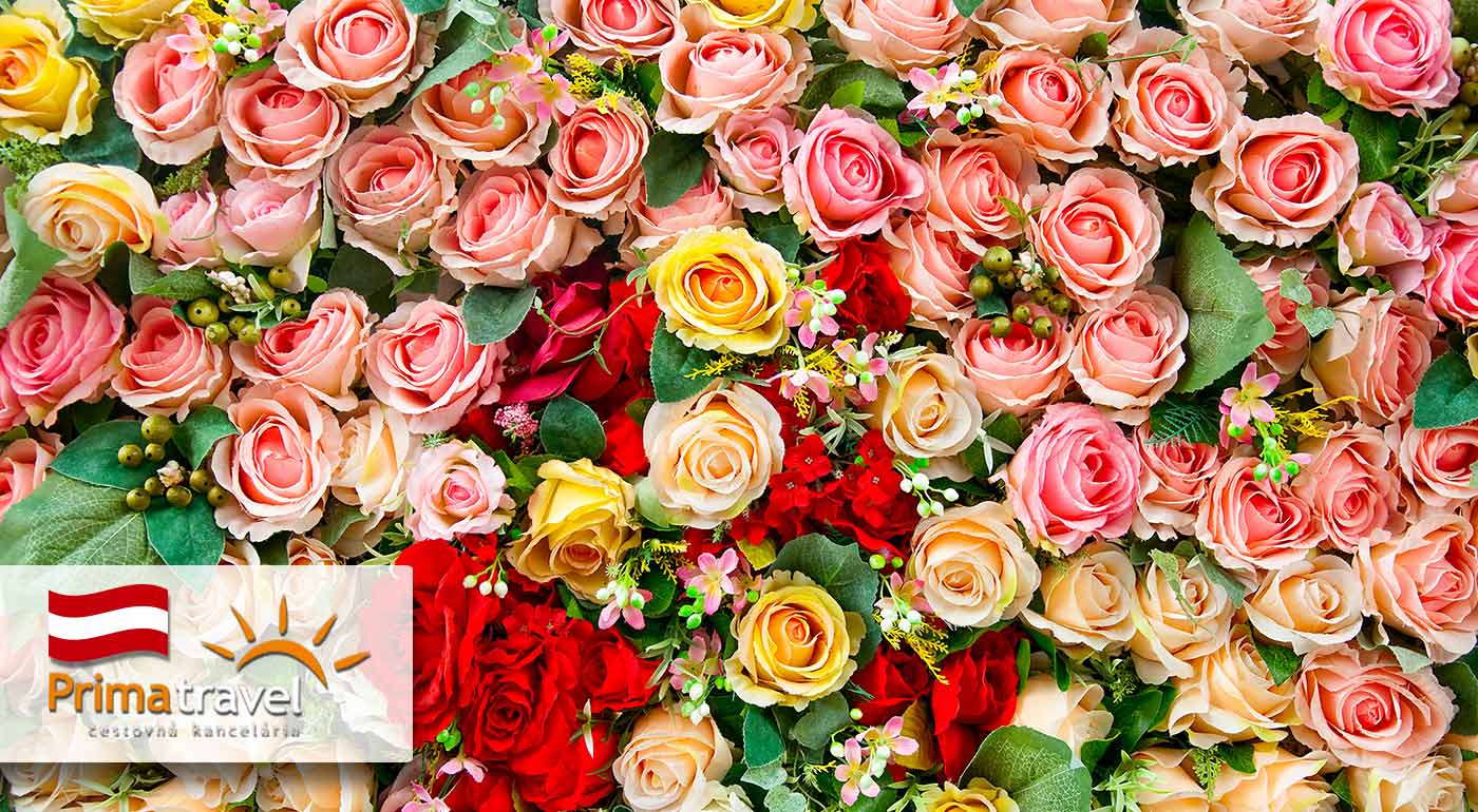 Nádielka farieb a vôní na výstave kvetov v Rakúsku