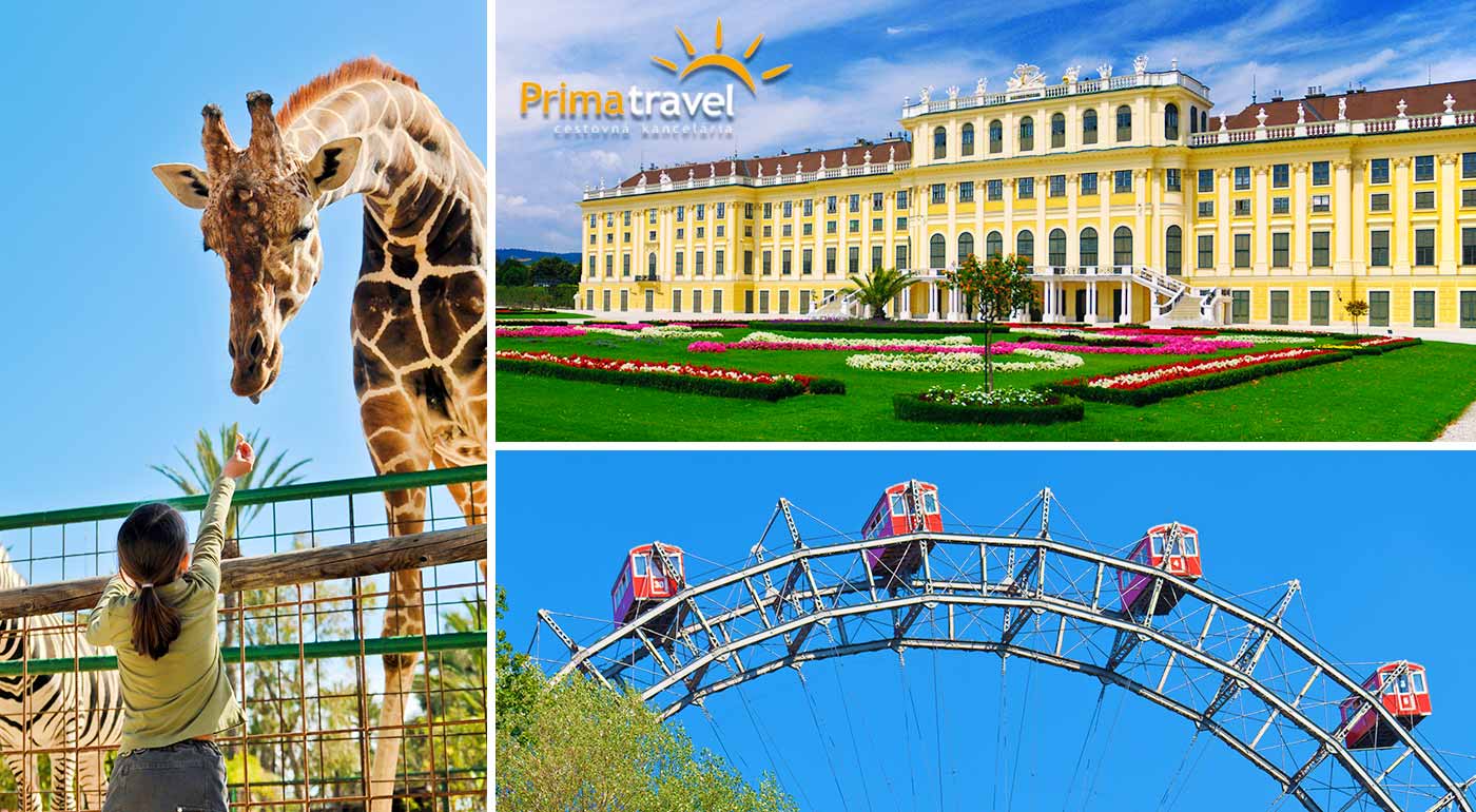 Jednodňový zájazd do Viedne - ZOO a Schönbrunn