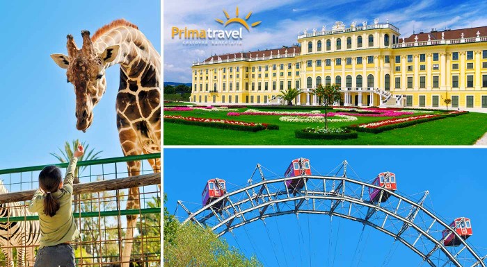 Jednodňový zájazd do Viedne - ZOO a Schönbrunn