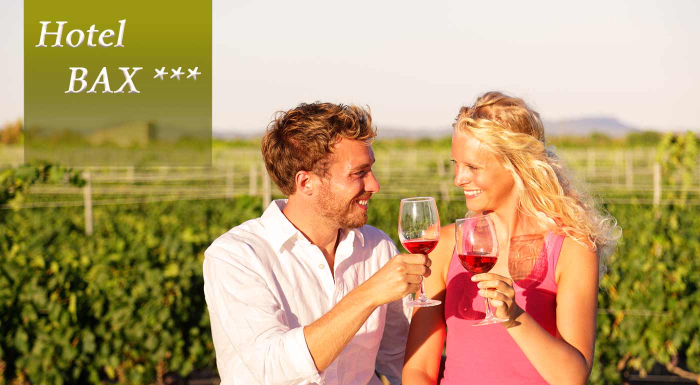 Nádherné dni v objatí moravských viníc