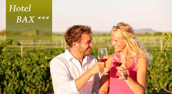 Nádherné dni v objatí moravských viníc