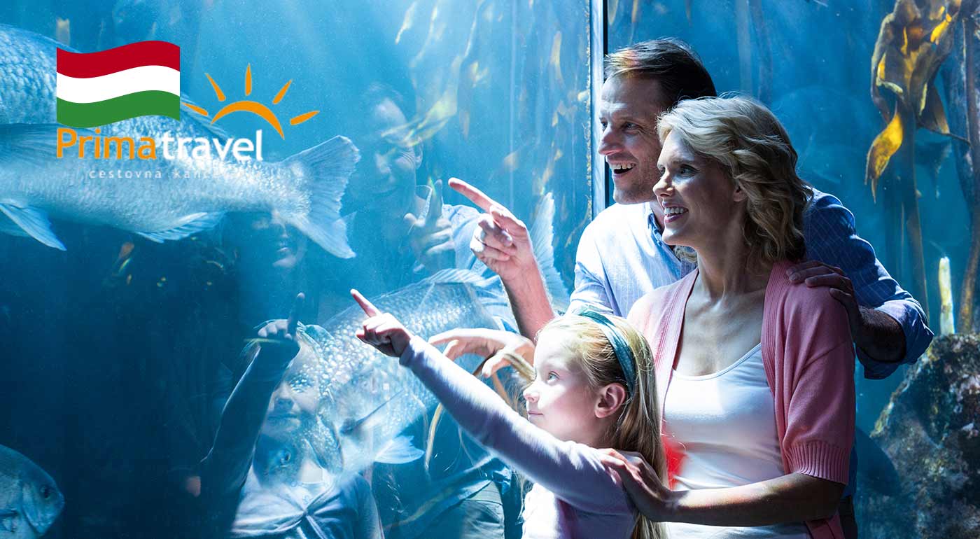 Jednodňový zájazd do Tropikária v Budapešti