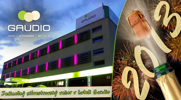 Privítajte príchod Nového roka 2013 v hlavnom meste. Limitovaná akcia - len 10 kupónov.