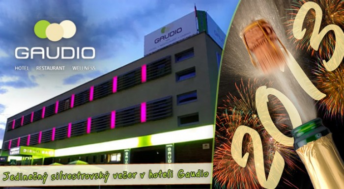 Privítajte príchod Nového roka 2013 v hlavnom meste. Limitovaná akcia - len 10 kupónov.