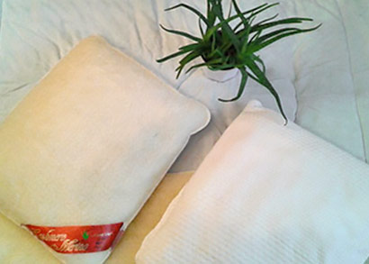 Ovčie rúno s prímesou aloe vera pre zdravší spánok - Sada deky a dvoch vankúšov z ovčej vlny