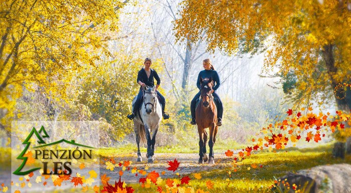 Oddych s wellness a koňmi v penzióne Les