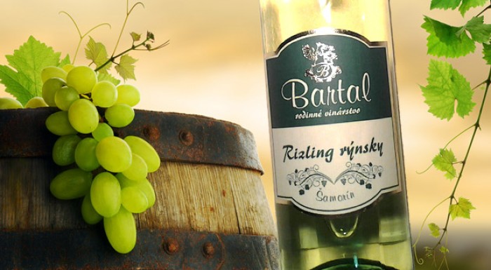 2 fľaše kvalitného vína pochádzajúce z južného Slovenska. Skvelé víno za super cenu. Možnosť osobného odberu v BA.