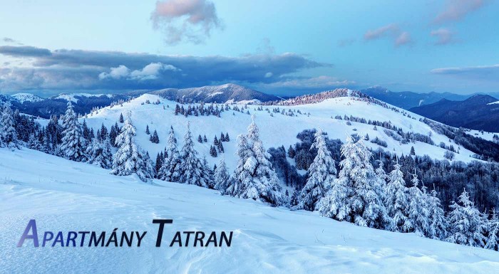 Zimná dovolenka v útulnom Apartmánovom dome Tatran