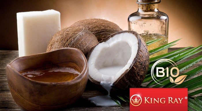 BIO panenský kokosový olej Kingray