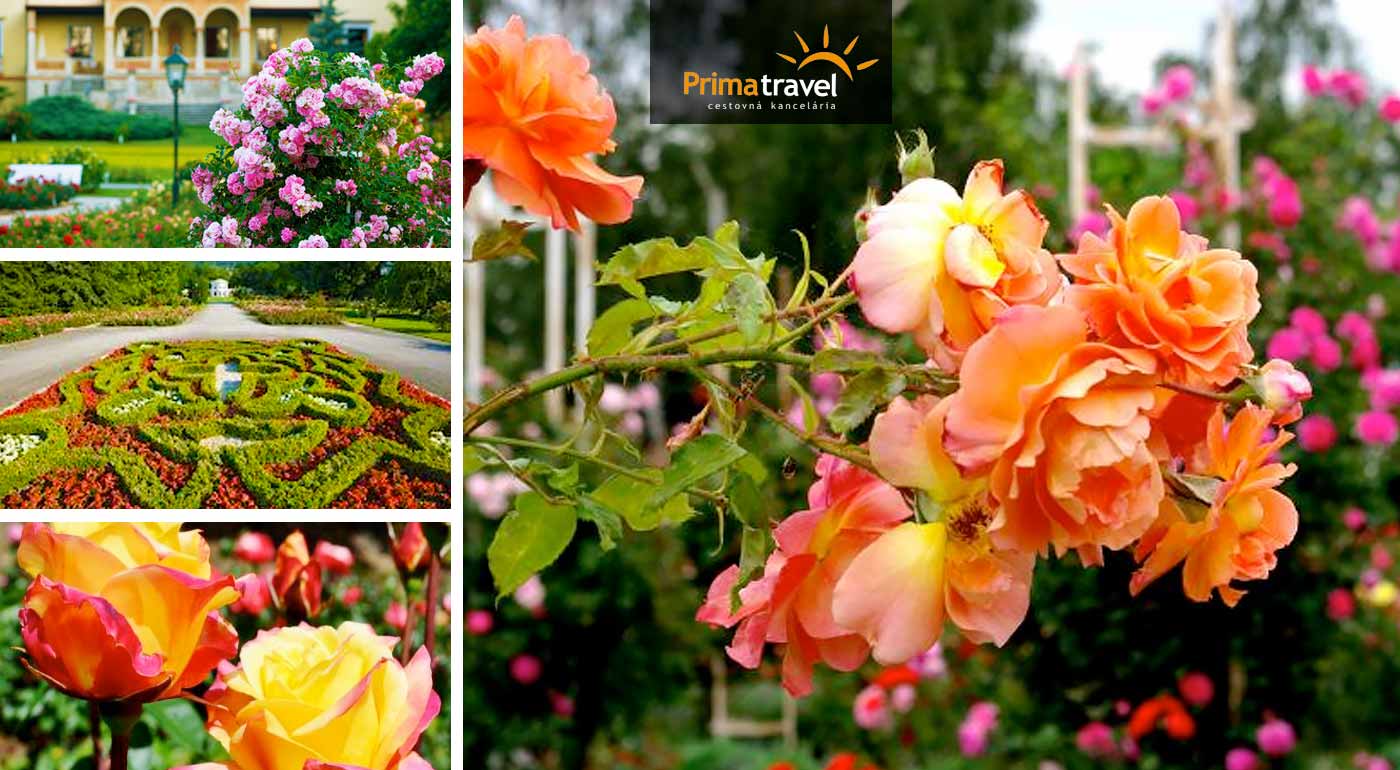 Slávnosť ruží a zámok Mayerling