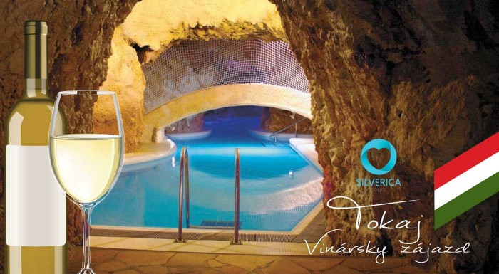 Vinársky zájazd do regiónu Tokaj s degustáciou