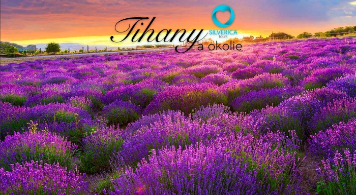 Levanduľový festival v maďarskom Tihany