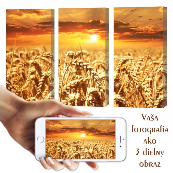 3-dielny obraz na plátne - 3x20x60 cm