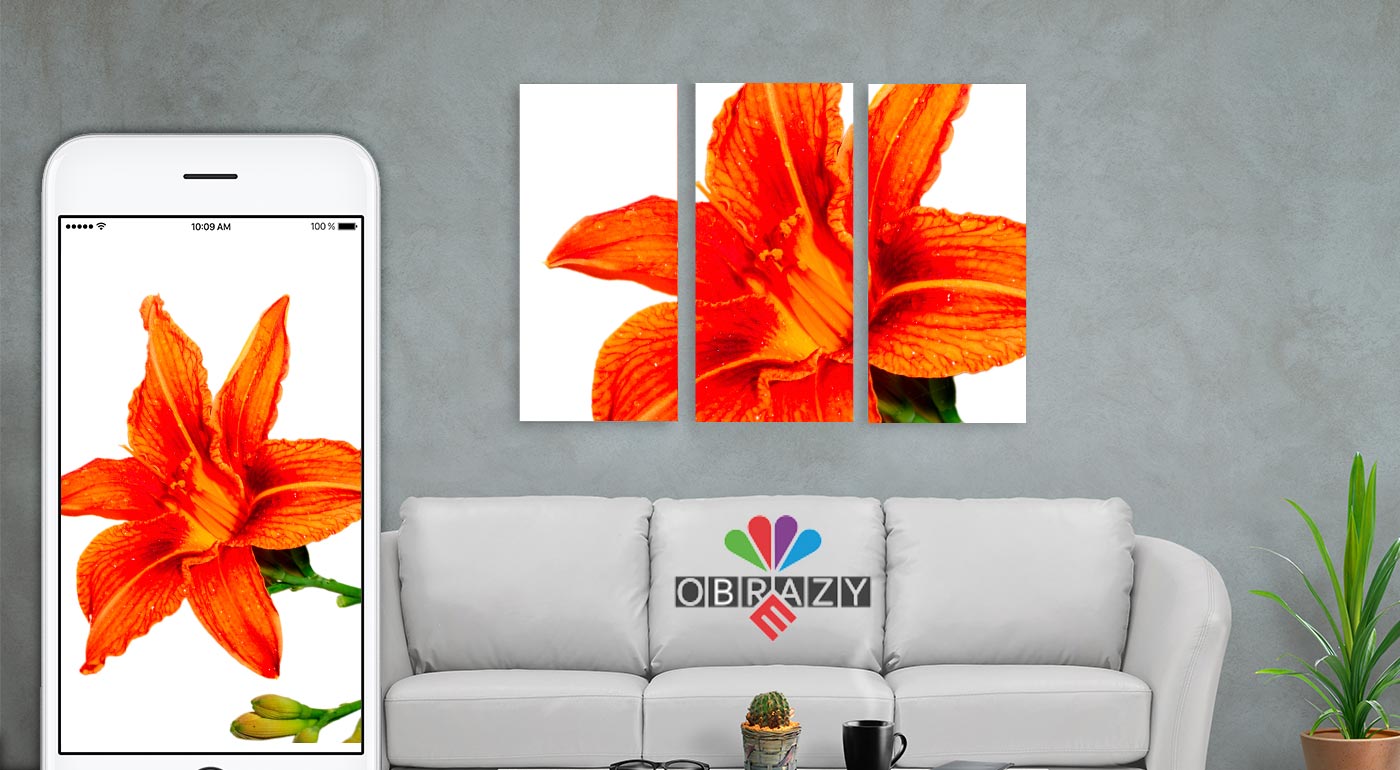 3-dielny a 4-dielny obraz s vlastnou fotografiou