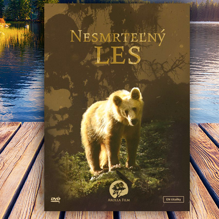 DVD Nesmrteľný les
