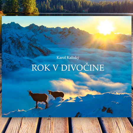 Kniha: Rok v divočine