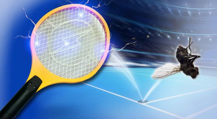 Elektrická mucholapka