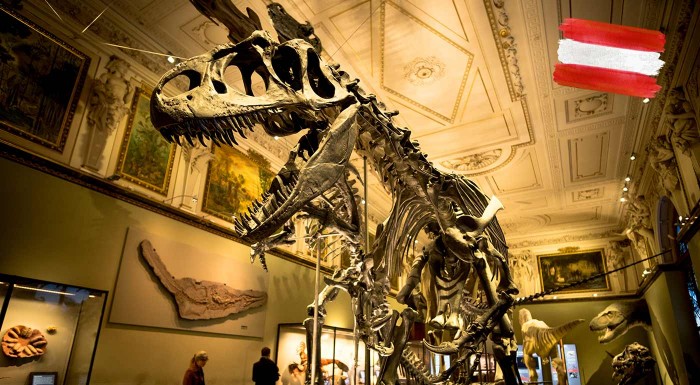 Zájazd na deň otvorených múzeí do Viedne