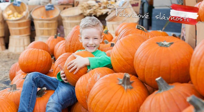 Tekvicové slávnosti a vínny labyrint v Rakúsku