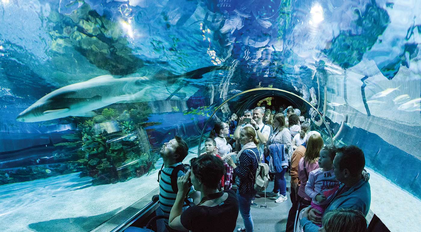 Budapešť a Tropikárium na jednodňovom zájazde