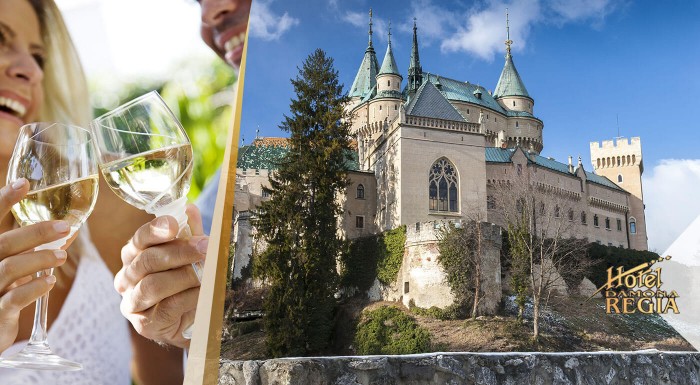 Pobyt pre seniorov v Hoteli Regia*** v Bojniciach