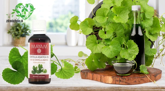 Olej Gotu Kola na hojenie rán a boj proti vráskam