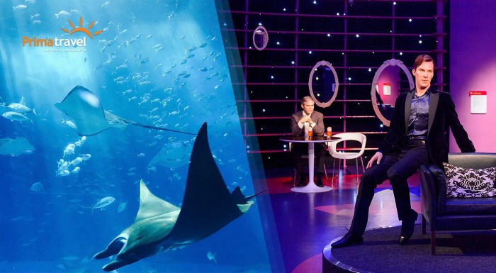 Podmorský svet a Múzeum voskových figúr Viedeň