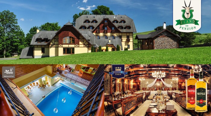 Návšteva Nestville Parku, obed, wellness - Pieniny